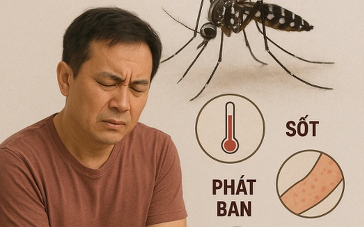 WHO khuyến cáo về nguy cơ bệnh chikungunya với Việt Nam
