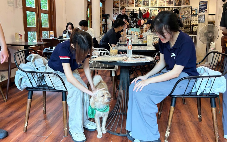 Quán cà phê lúc nào cũng đông kín khách nhờ những 'nhân viên' đặc biệt này...