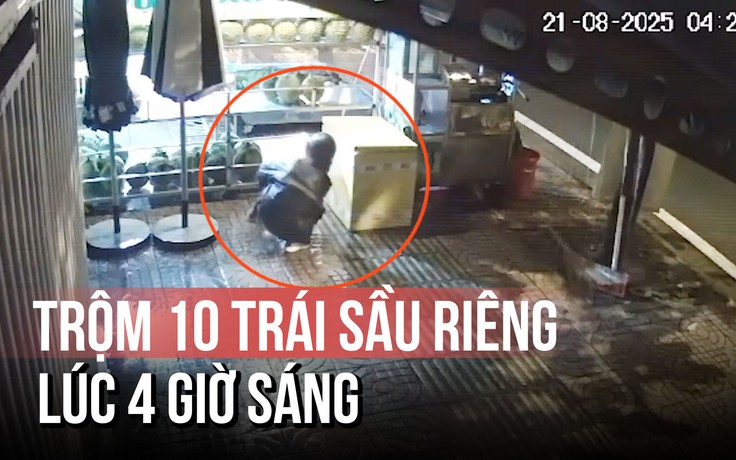 Cặp đôi ‘tiếp ứng’ nhau trộm 10 trái sầu riêng dưới trời mưa