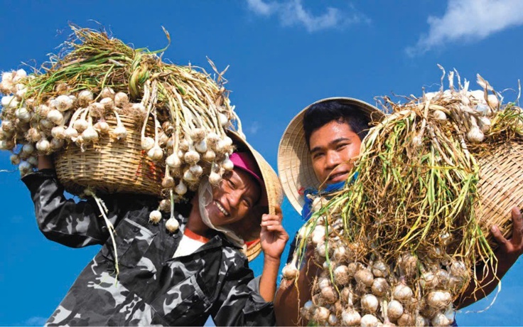 Khánh Hòa: Phát triển nông nghiệp theo hướng sạch, bền vững