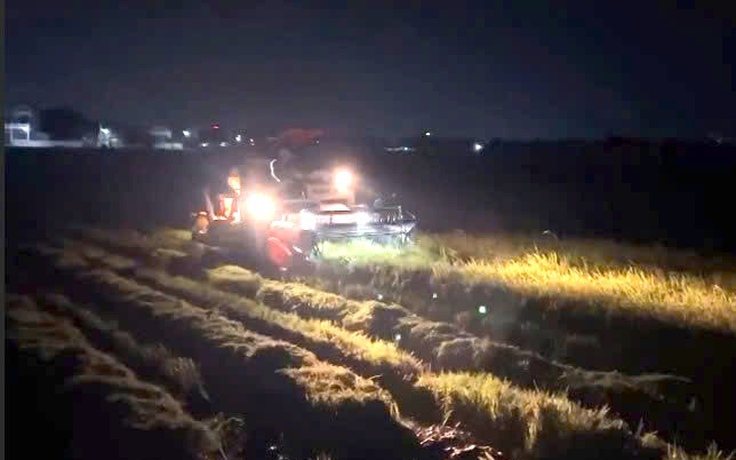 Người dân Quảng Trị xuyên đêm gặt lúa, 'chạy đua' với bão số 5