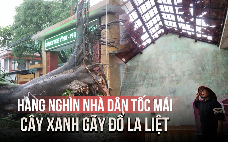 Bão số 5 tàn phá Nghệ An, Hà Tĩnh: Hàng nghìn căn nhà tốc mái, cây xanh gãy đổ la liệt