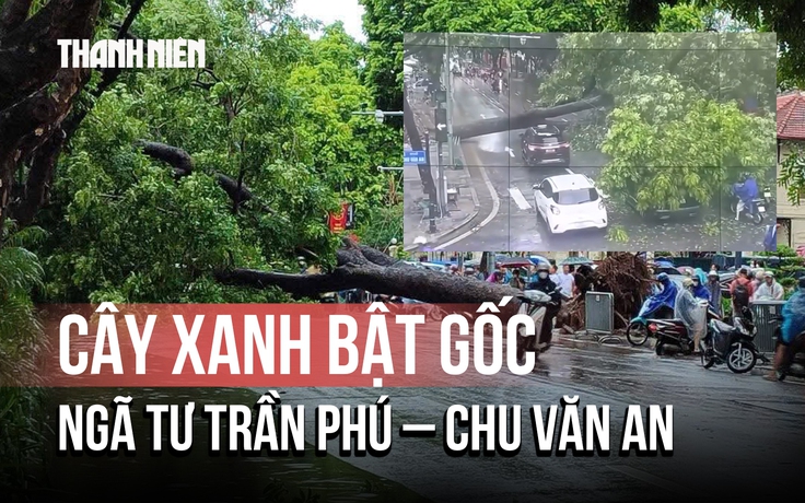 Mưa lớn tại Hà Nội: Cây xanh bật gốc, chắn ngang đường xe đang chạy