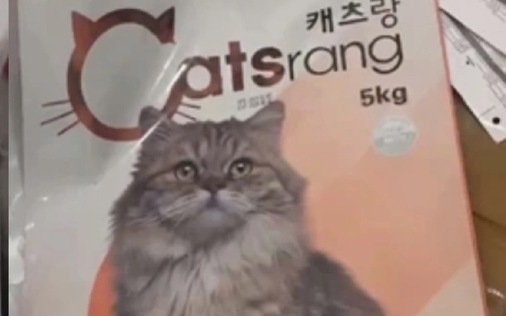 Biến nguyên liệu trôi nổi thành thức ăn cho mèo gắn mác Catsrang