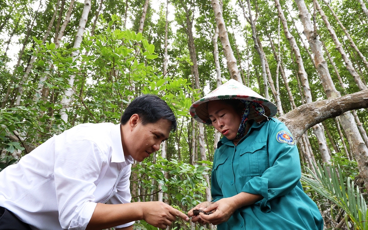 Người ‘nói chuyện’ với rừng ngập mặn Cần Giờ