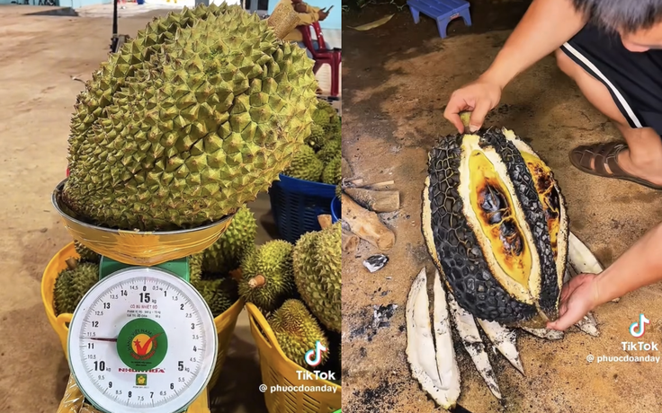Nướng quả sầu riêng 'heo' 11 kg, chàng trai bất ngờ với hương vị