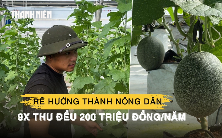 Rẽ hướng thành nông dân trồng dưa lưới, 9x thu đều 200 triệu đồng/năm