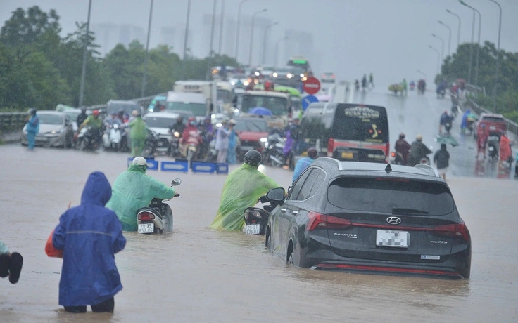 Ô tô bị thủy kích: Giá rẻ vẫn bị chê?