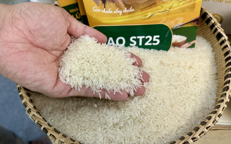 Thế giới lao dốc, giá gạo Việt Nam vọt lên cao nhất thế giới