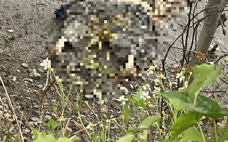 Người dân câu cá phát hiện thi thể chỉ còn bộ xương ven kênh Xáng ở TP.HCM