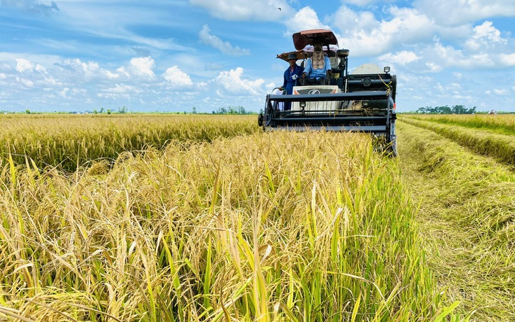 Tin tức đặc biệt trên báo in Thanh Niên 6.8.2025