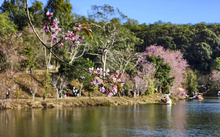 Đưa Măng Đen thành trung tâm nghỉ dưỡng thiên nhiên của Việt Nam
