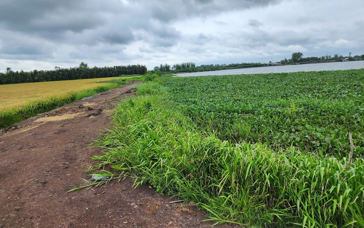 Tây Ninh: Kiến nghị thu hồi giấy phép kinh doanh của Công ty Vĩnh Hằng