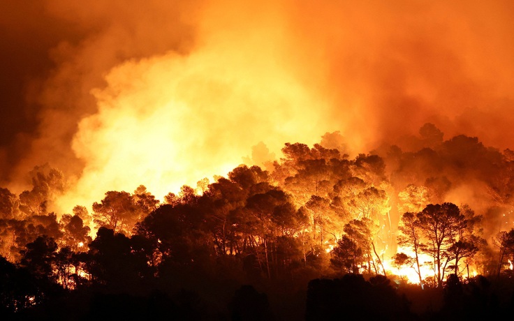 Khói cháy rừng có thể giết chết 1,4 triệu người mỗi năm vào cuối thế kỷ 21