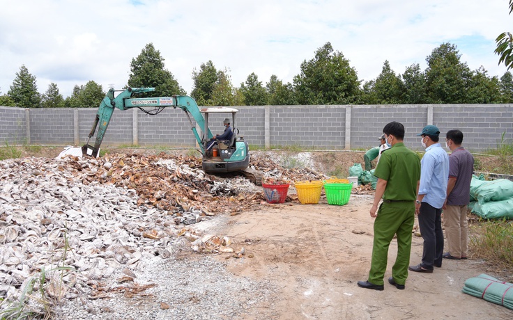 Đồng Tháp: Chủ vựa thuê người đổ vỏ sầu riêng ra môi trường, gây ô nhiễm