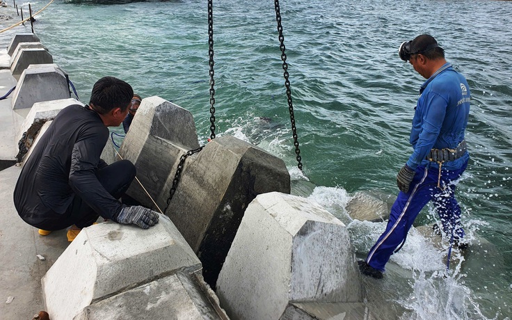 'Gánh' 10 kg chì, thợ lặn ngâm mình hàng giờ để 'hồi sinh' bãi biển Hội An