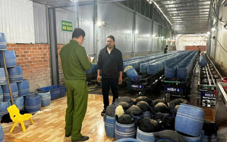 4 bị cáo lãnh án tù trong vụ giá đỗ ngâm chất cấm ở Đắk Lắk