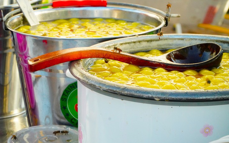 Độc lạ miền Tây: Bầy ong là khách quen quán tàu hũ nóng Cần Thơ
