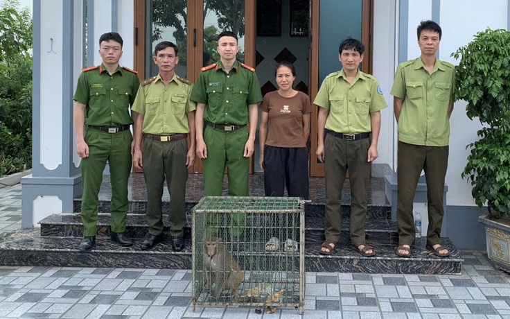 Khỉ mốc quý hiếm đi lạc vào nhà dân ở Hưng Yên