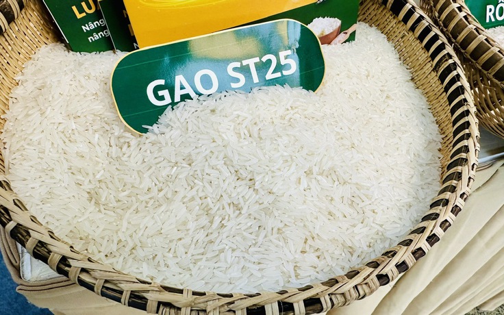 Philippines muốn tăng thuế nhập khẩu gạo, Ấn Độ thu phí xuất khẩu