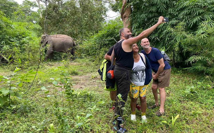 Cấp thiết bảo tồn voi: Du lịch thân thiện với voi
