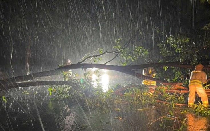 Bão số 10 đổ bộ vào Hà Tĩnh, gió rít liên hồi giật cấp 15