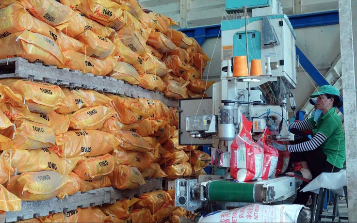 Gạo Việt vững vàng giữa sóng gió thị trường thế giới