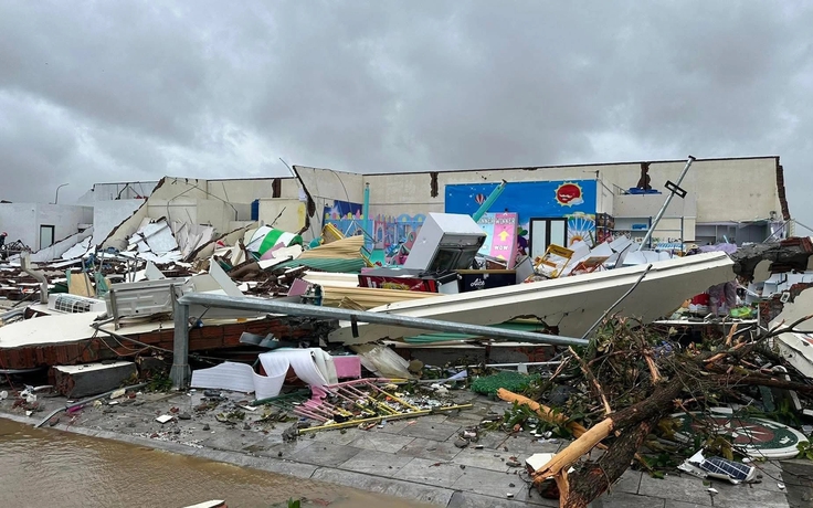 Bí thư thôn bị cây đè tử vong khi đi chống bão số 10