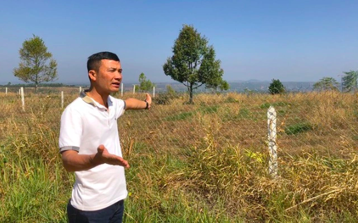 Hai lần không đủ căn cứ buộc tội vụ tự chặt cây cà phê của chính mình