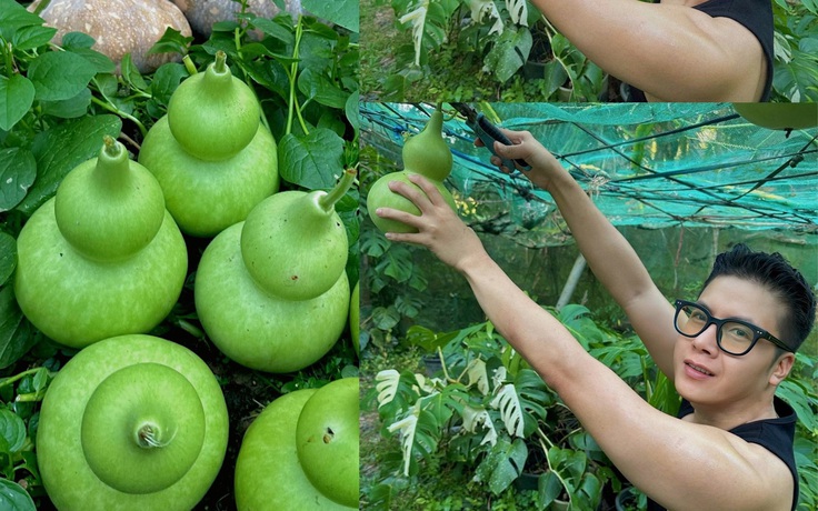 Chàng trai miền Tây và hành trình kỳ diệu...