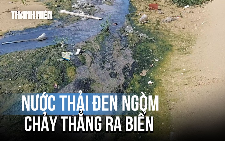 Những dòng nước thải đen ngòm chảy thẳng ra biển Gia Lai