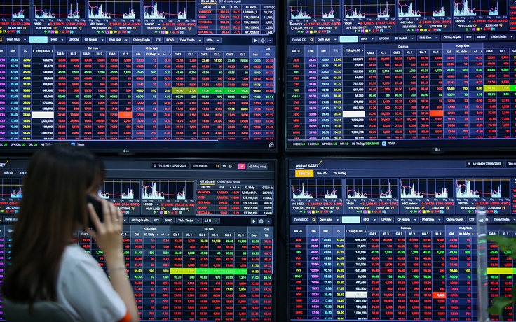 Một số dịch vụ kinh doanh, hoạt động chứng khoán không chịu thuế