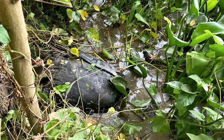 Lời khai của nghi phạm sát hại người phụ nữ rồi chở thi thể đi phi tang