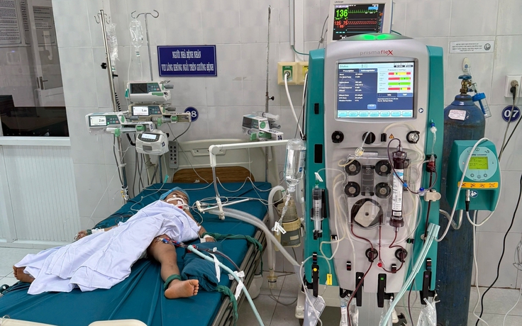 3 trẻ ở cơ sở mồ côi bị ong vò vẽ đốt, 1 cháu tử vong