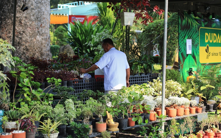 Triển lãm kiểng lá 'Nghe lá hoa kể chuyện' hút khách tại Thảo Cầm Viên