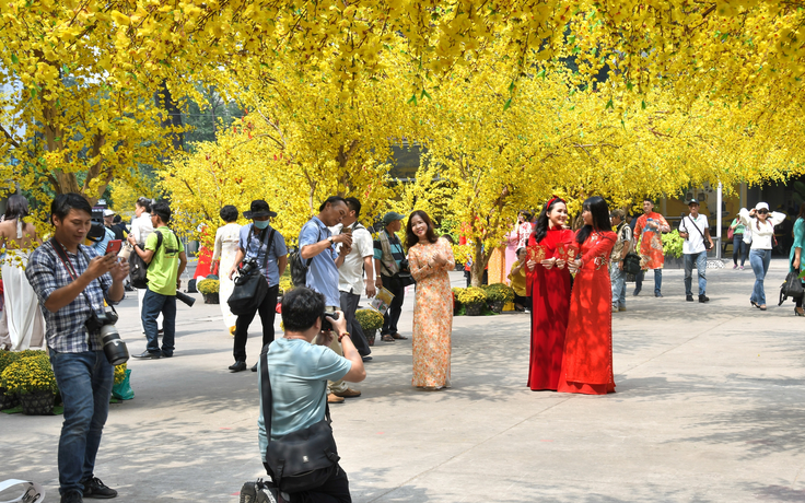 Đường mai tết đẹp lung linh ở Nhà văn hóa Thanh niên khi nào đón khách?