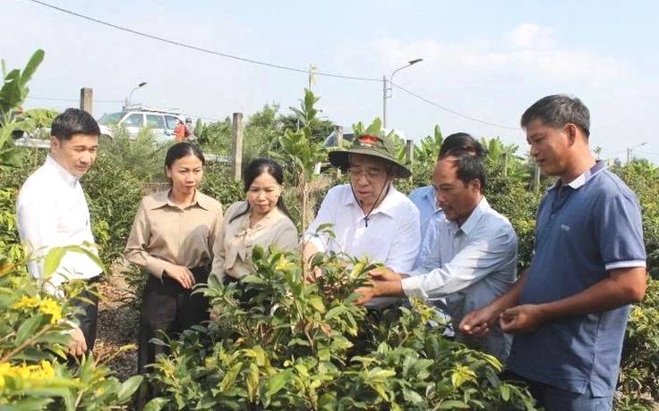 Phó bí thư Thành ủy TP.HCM thăm làng mai vàng Bình Lợi, tặng BHYT cho người dân