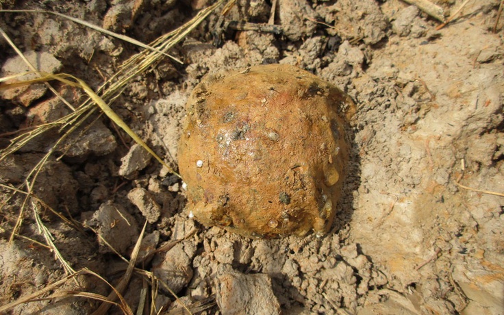 2 phụ nữ tử vong sau tiếng nổ lớn ở Gia Lai