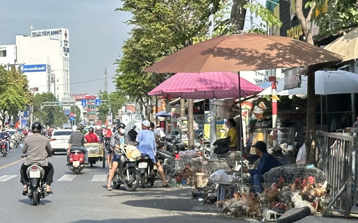 Chợ gà tự phát gây mất vệ sinh, cản trở giao thông
