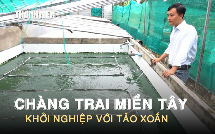 Nuôi ‘siêu thực phẩm’ tảo xoắn dưới nắng mưa miền Tây, chàng trai thu nhập 30 triệu đồng/tháng