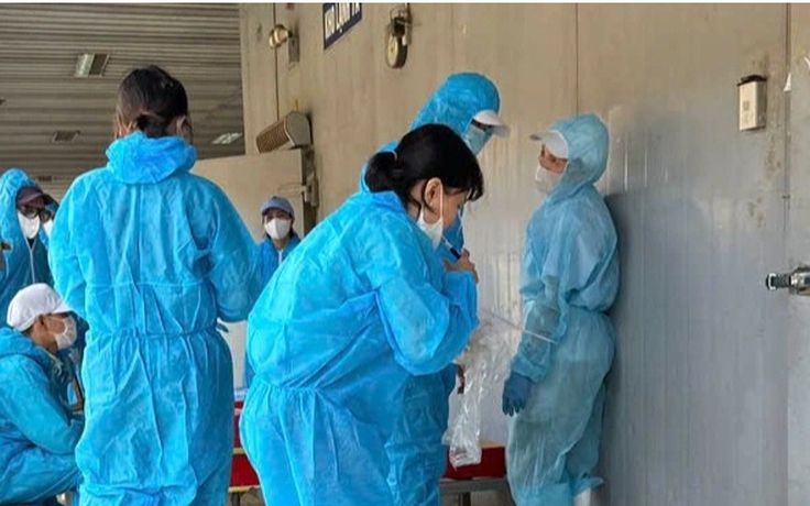 Hải Phòng siết lò mổ sau vụ Đồ hộp Hạ Long