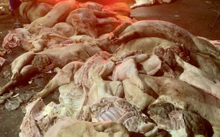 Nguy cơ với sức khỏe khi ăn phải thực phẩm nhiễm virus tả heo châu Phi