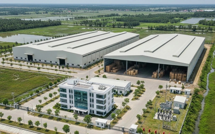 Cà Mau chấp thuận dự án nhà máy ván ghép thành viên nén gỗ 132 tỉ đồng