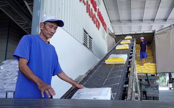 Việt Nam chủ động giảm lượng gạo xuất khẩu từ 2026