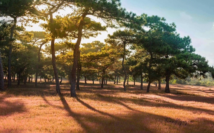 Gia Lai chấp thuận dự án sân golf Đăk Đoa hơn 1.150 tỉ đồng