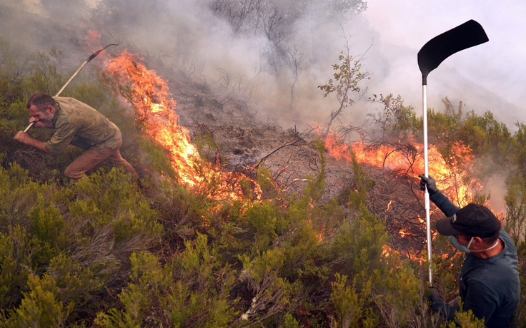 Vì sao 2025 là một trong 3 năm nóng nhất lịch sử dù có La Nina?