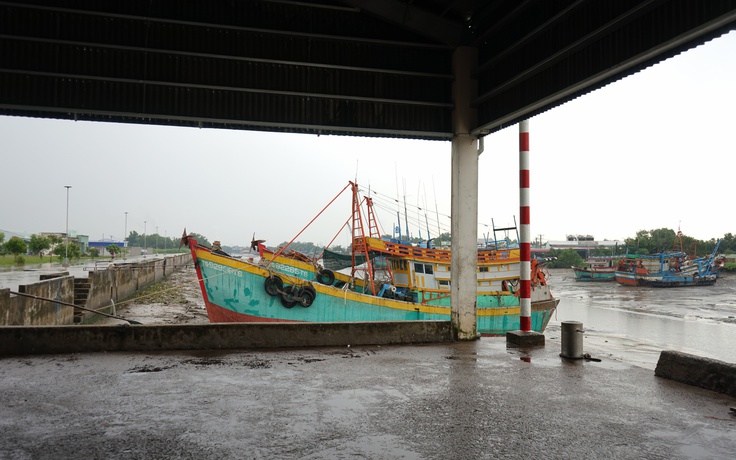 Đồng Tháp: Tàu cá giải bản có thể nhận hỗ trợ tối đa 350 triệu đồng