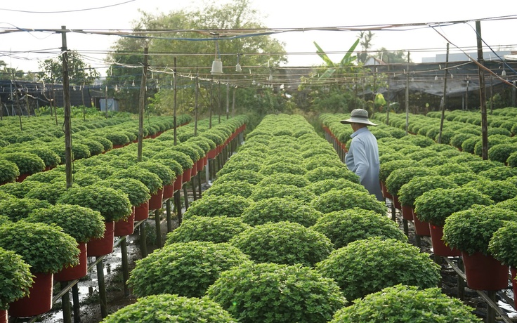 Từ nghề thuần nông đến di sản quốc gia