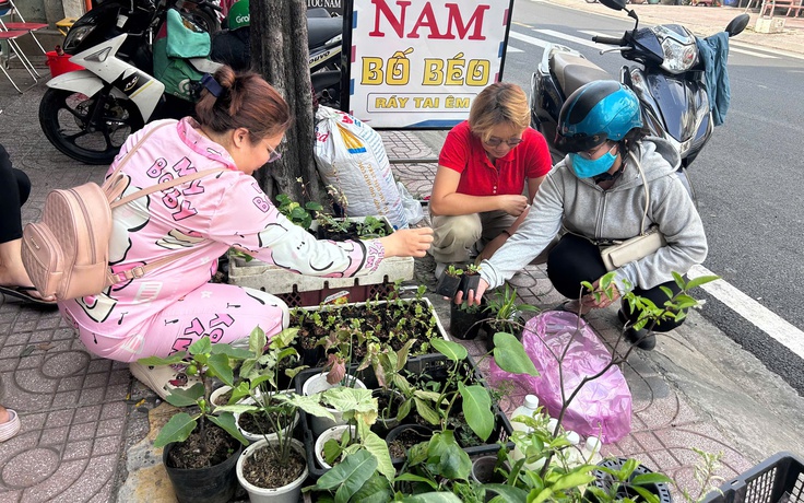 Đi chợ cây độc lạ: Đủ loại cây giá chỉ vài ngàn đồng