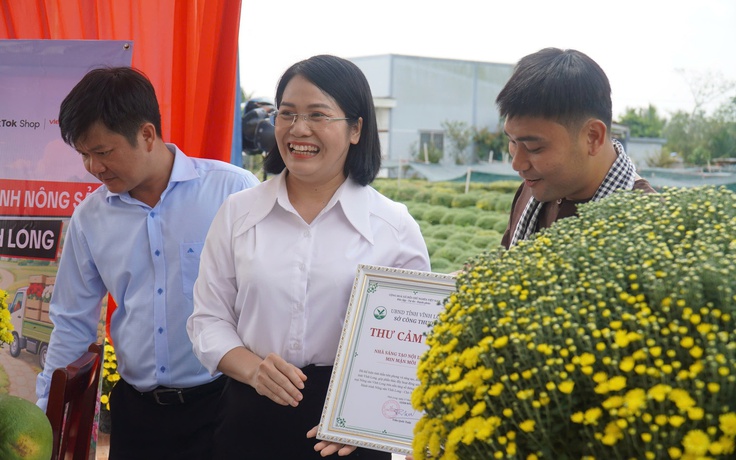 Cúc mâm xôi nở sớm ở miền Tây: Phong trào giải cứu hoa tết lan khắp nơi